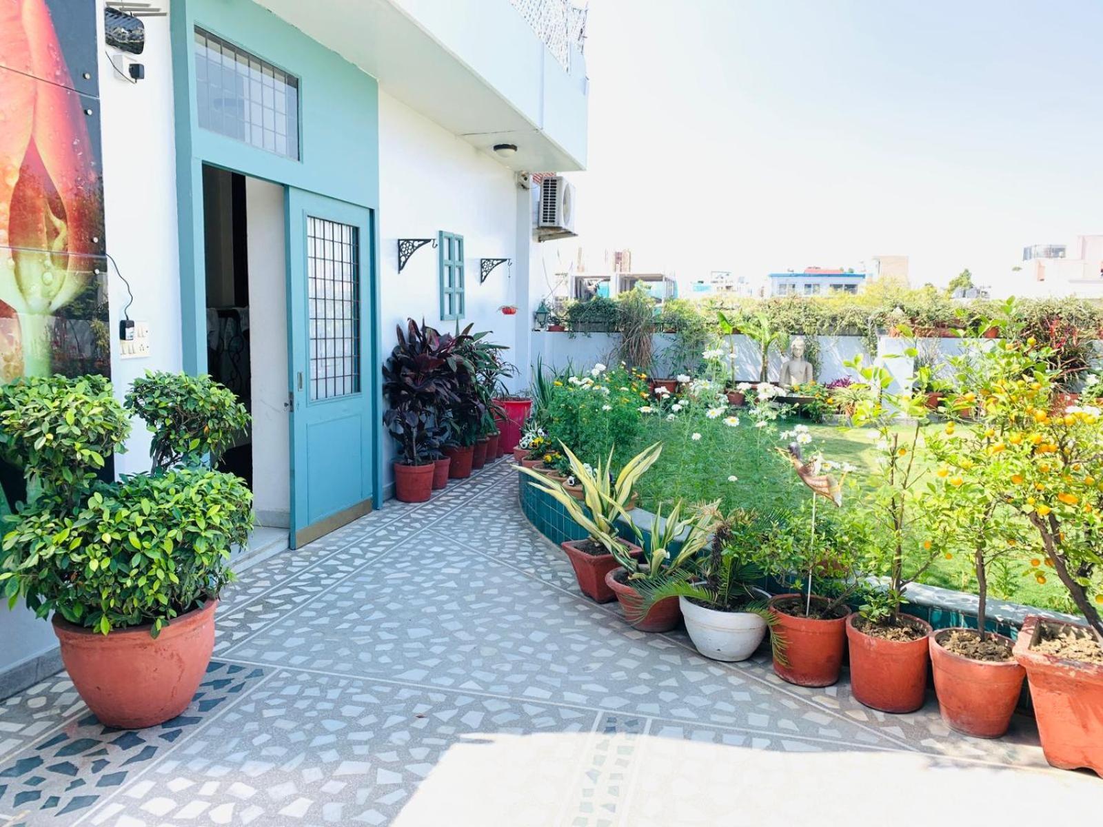 Vandana's New Delhi