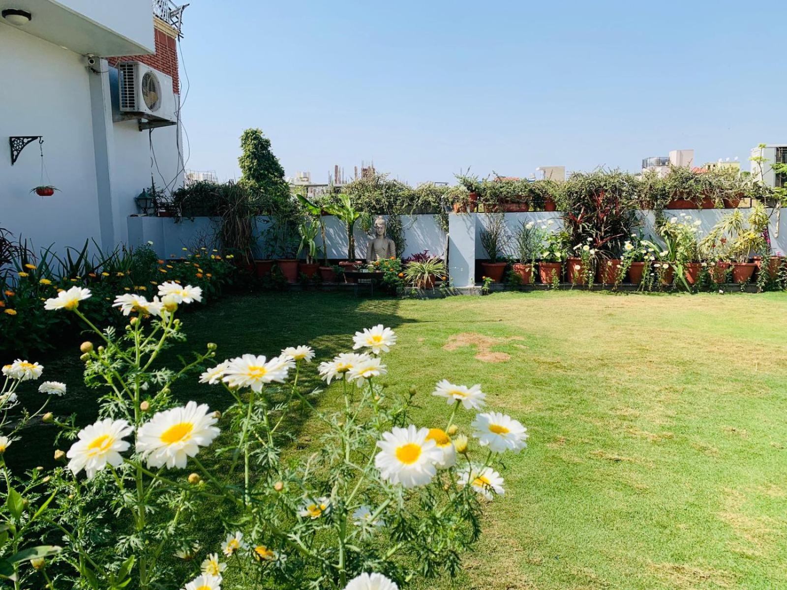 Vandana's New Delhi