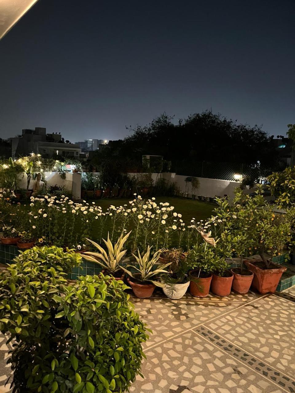 Vandana's New Delhi