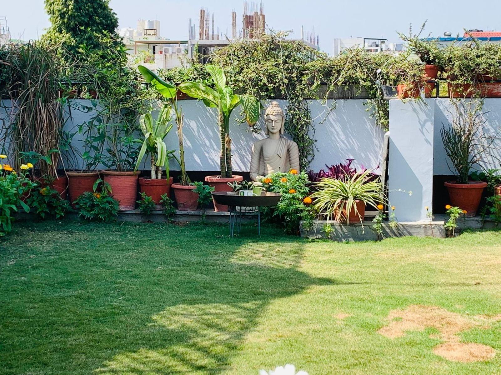 Vandana's New Delhi