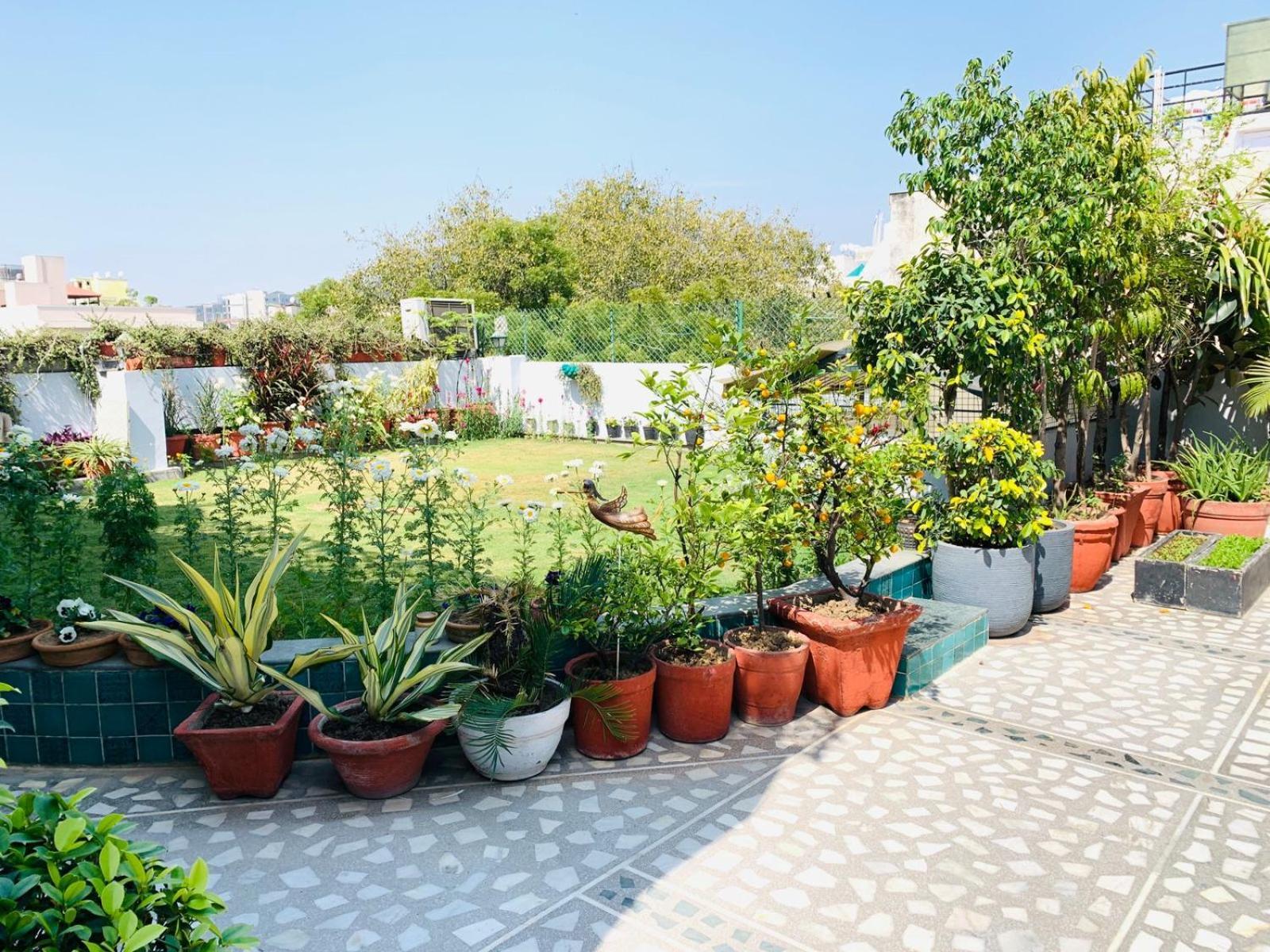 Vandana's Bed & Breakfast